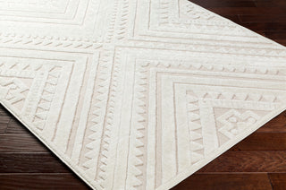 Surya San diego SFG-2353 Area Rug Corner Shot
