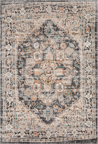 Surya Soft Touch SFT-2300 Taupe White Medium Gray Black Camel Dark Brown Teal Area Rug Mirror main image