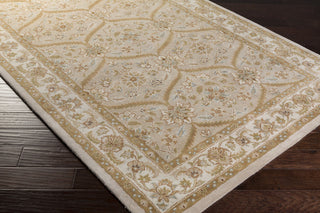 Surya Sage SGE-3000 Beige Hand Tufted Area Rug Corner Shot