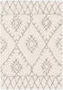 Surya Serengeti Shag SGT-2301 White Khaki Taupe Dark Brown Area Rug main image