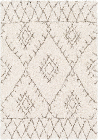 Surya Serengeti Shag SGT-2301 White Khaki Taupe Dark Brown Area Rug main image