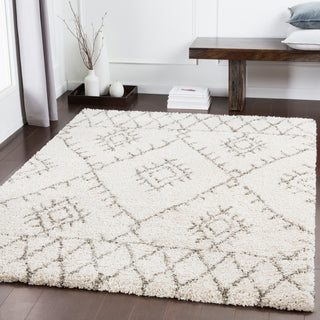 Surya Serengeti Shag SGT-2301 Area Rug Room Image Feature