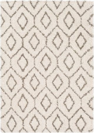 Surya Serengeti Shag SGT-2302 Taupe Khaki White Dark Brown Area Rug main image