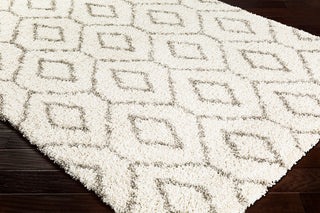 Surya Serengeti Shag SGT-2302 Taupe Khaki White Dark Brown Area Rug Corner Image