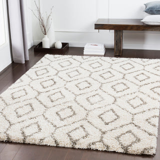 Surya Serengeti Shag SGT-2302 Area Rug Room Image Feature