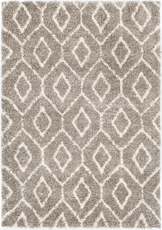 Surya Serengeti Shag SGT-2303 Area Rug main image