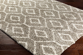 Surya Serengeti Shag SGT-2303 Area Rug Corner Image