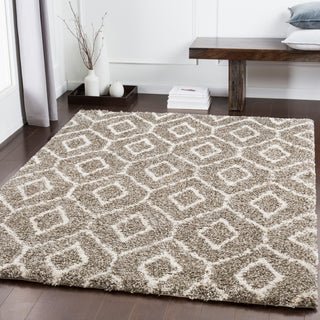 Surya Serengeti Shag SGT-2303 Area Rug Room Image Feature