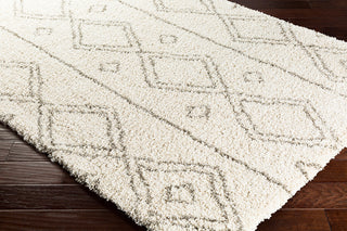 Surya Serengeti Shag SGT-2304 Dark Brown Khaki White Taupe Area Rug Corner Image