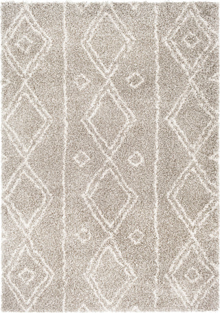 Surya Serengeti Shag SGT-2305 Taupe Khaki White Dark Brown Area Rug main image