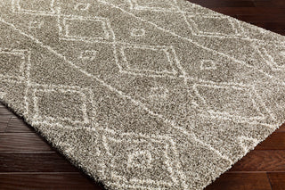 Surya Serengeti Shag SGT-2305 Taupe Khaki White Dark Brown Area Rug Corner Image