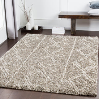 Surya Serengeti Shag SGT-2305 Area Rug Room Image Feature