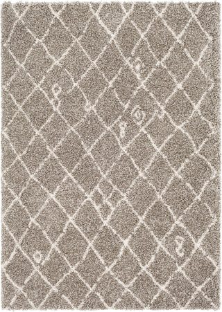 Surya Serengeti Shag SGT-2307 Taupe Dark Brown White Khaki Area Rug main image