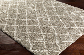 Surya Serengeti Shag SGT-2307 Taupe Dark Brown White Khaki Area Rug Corner Image