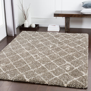 Surya Serengeti Shag SGT-2307 Area Rug Room Image Feature