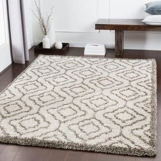 Surya Serengeti Shag SGT-2308 Area Rug Room Image Feature