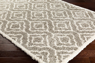 Surya Serengeti Shag SGT-2309 Area Rug Corner Image
