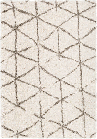 Surya Serengeti Shag SGT-2310 Taupe Khaki White Dark Brown Area Rug main image