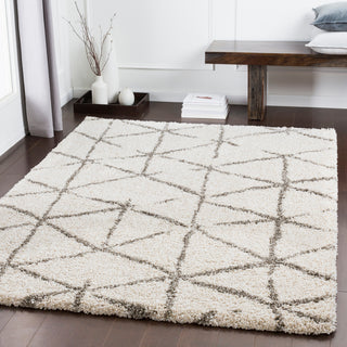 Surya Serengeti Shag SGT-2310 Area Rug Room Image Feature