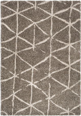 Surya Serengeti Shag SGT-2311 Area Rug main image