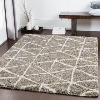 Surya Serengeti Shag SGT-2311 Area Rug Room Image Feature