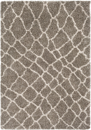 Surya Serengeti Shag SGT-2312 Taupe Dark Brown Khaki White Area Rug main image