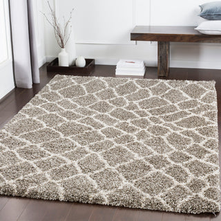 Surya Serengeti Shag SGT-2312 Area Rug Room Image Feature