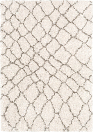 Surya Serengeti Shag SGT-2313 Dark Brown Khaki White Taupe Area Rug main image