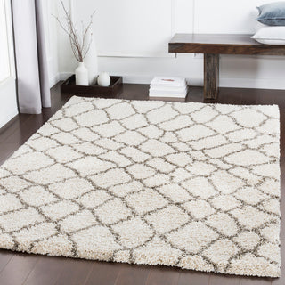 Surya Serengeti Shag SGT-2313 Area Rug Room Image Feature