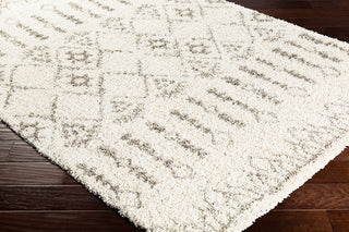 Surya Serengeti Shag SGT-2314 Taupe Khaki White Dark Brown Area Rug Corner Image