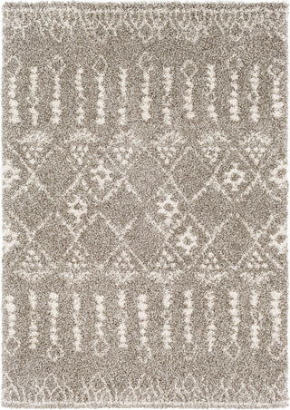 Surya Serengeti Shag SGT-2315 Dark Brown Taupe Khaki White Area Rug main image