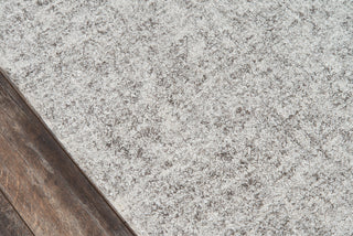 Momeni Shangri-la SHA-C Caramel Area Rug by Broadloom Close up