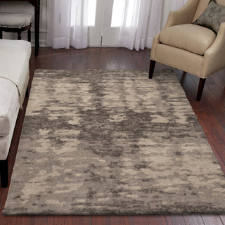 Orian Rugs Sherwood Pitkin Grey Area Rug Room Scene Feature