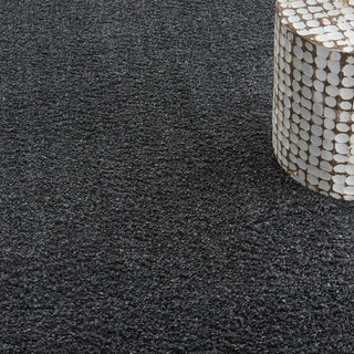 Nourison Shangri-La SHI01 Charcoal Area Rug