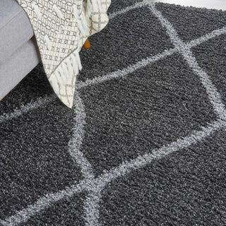 Nourison Shangri-La SHI02 Charcoal/Light Grey Area Rug