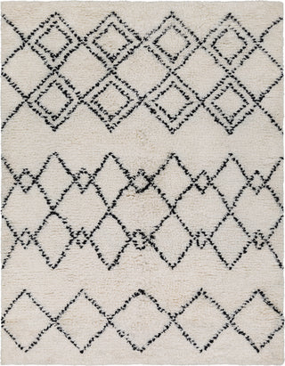 Surya Sherpa SHP-8002 White Camel Area Rug main image