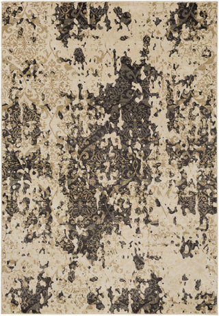 Surya Steinberger SIB-1000 Brown Area Rug main image