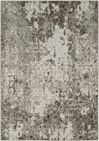 Surya Steinberger SIB-1002 Area Rug main image