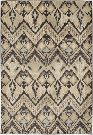 Surya Steinberger SIB-1004 Brown/Green Area Rug main image