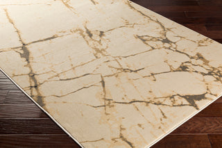 Surya Steinberger SIB-1018 Area Rug Corner Image Feature