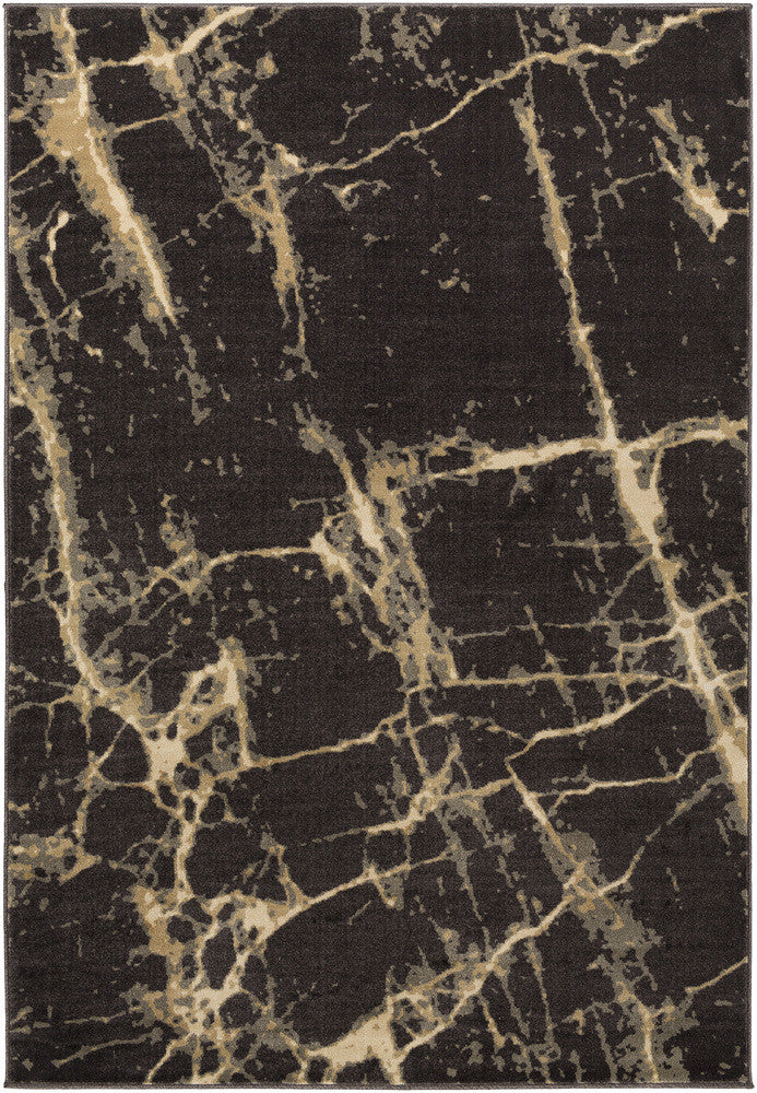 Surya Steinberger SIB-1019 Brown Area Rug main image