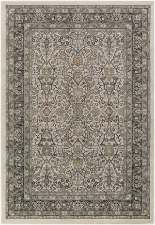 Surya Steinberger SIB-1025 Brown/Blue Area Rug main image