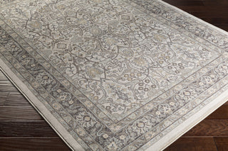 Surya Steinberger SIB-1025 Brown/Blue Area Rug Closeup