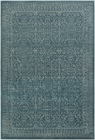 Surya Steinberger SIB-1026 Blue/Grey Area Rug main image