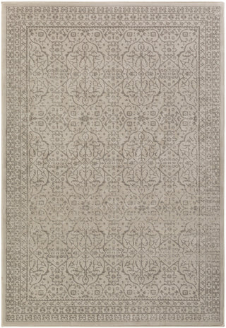 Surya Steinberger SIB-1027 Brown/Neutral Area Rug main image