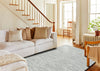 NuStory Silt Grey Area Rug 