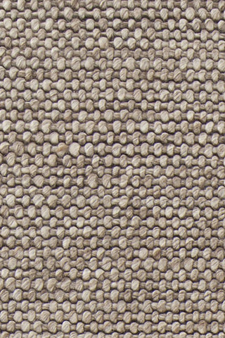 Chandra Sinatra SIN-10101 Brown/Cream Area Rug Close Up