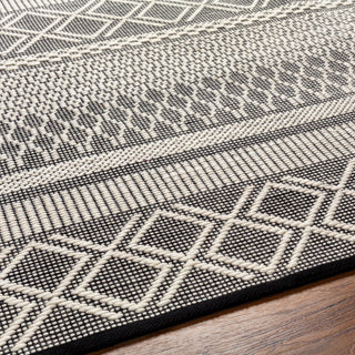 Surya San Jose SJO-2300 Area Rug Detail