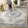 Surya Skagen SKG-2301 Area Rug Room Scene Feature