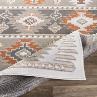 Livabliss Skagen SKG-2303 Area Rug